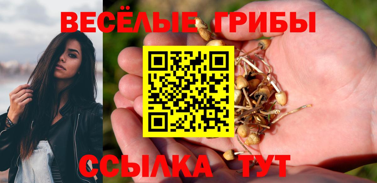 Галлюциногенные грибы прущие грибы Железноводск