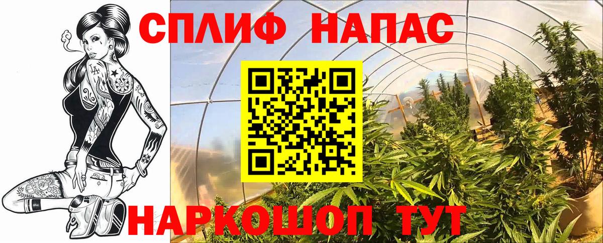 Конопля OG Kush  Бошки Шишки Bruce Banner  Бошки марихуана планчик  Железноводск  Вход с VPN 